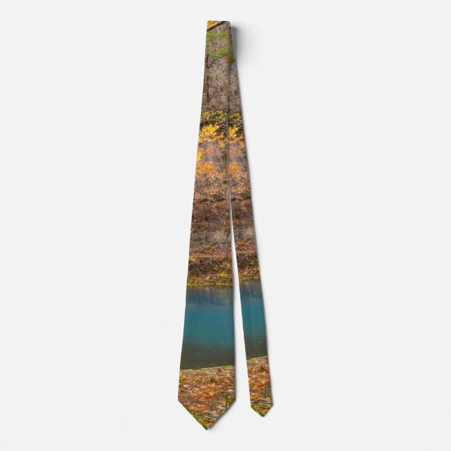 Alley Spring View Neck Tie (Front)