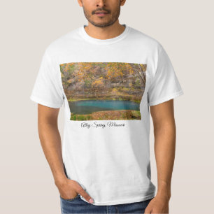 Alley Spring View T-Shirt