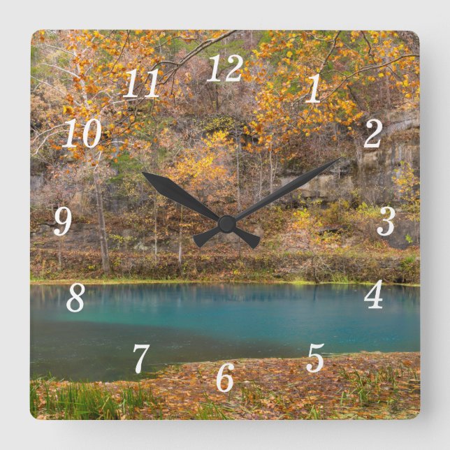 Alley Spring View Wall Clock (Front)
