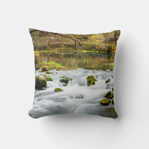 Alley Springs Rapids Cushion