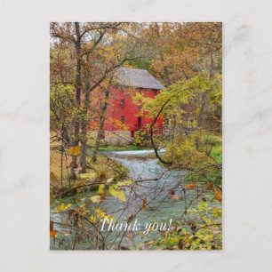 Alley Through The Woods Postcard