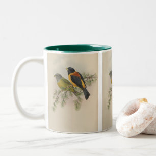 Allied Grosbeak by John Gould Two-Tone Coffee Mug