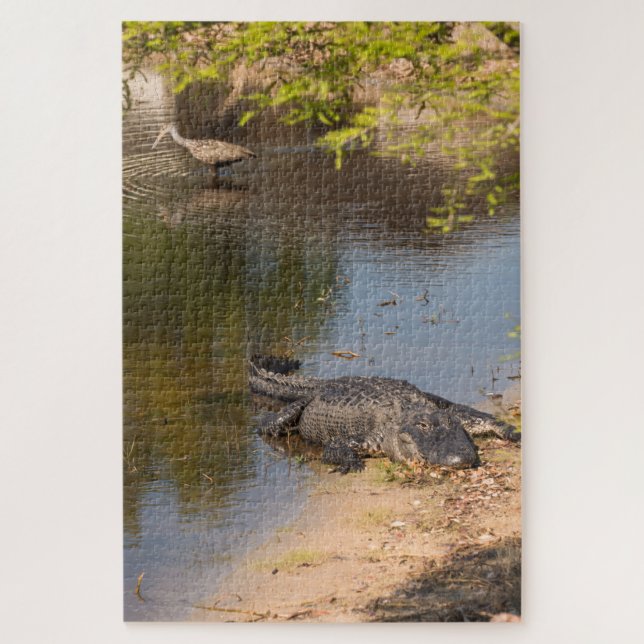 Alligator and Carrao bird In Florida wetlands Jigsaw Puzzle (Vertical)
