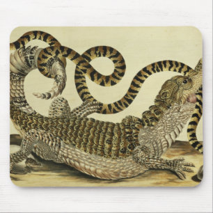 Alligator and Snake, 1730 (coloured engraving) Mouse Pad