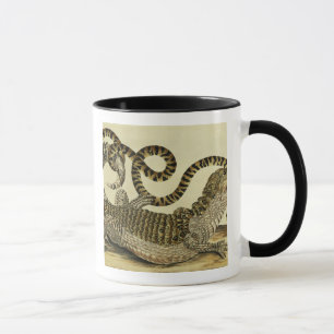 Alligator and Snake, 1730 (coloured engraving) Mug