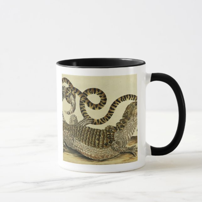 Alligator and Snake, 1730 (coloured engraving) Mug (Right)