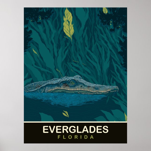 Alligator at Everglades, Florida, Travel Poster (Front)