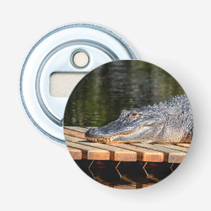 Alligator at Homosassa Springs Wildlife State Park Bottle Opener