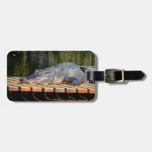 Alligator at Homosassa Springs Wildlife State Park Luggage Tag
