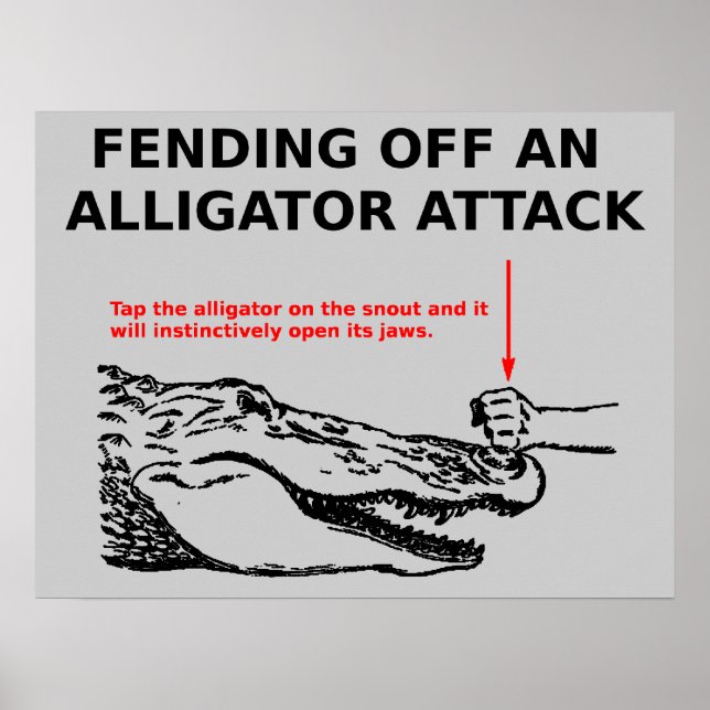Alligator Attack Poster (Front)