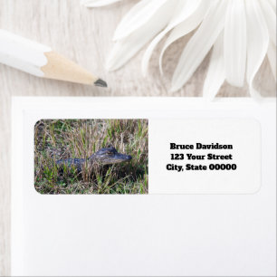Alligator Baby Cute Personalise Return Address Label