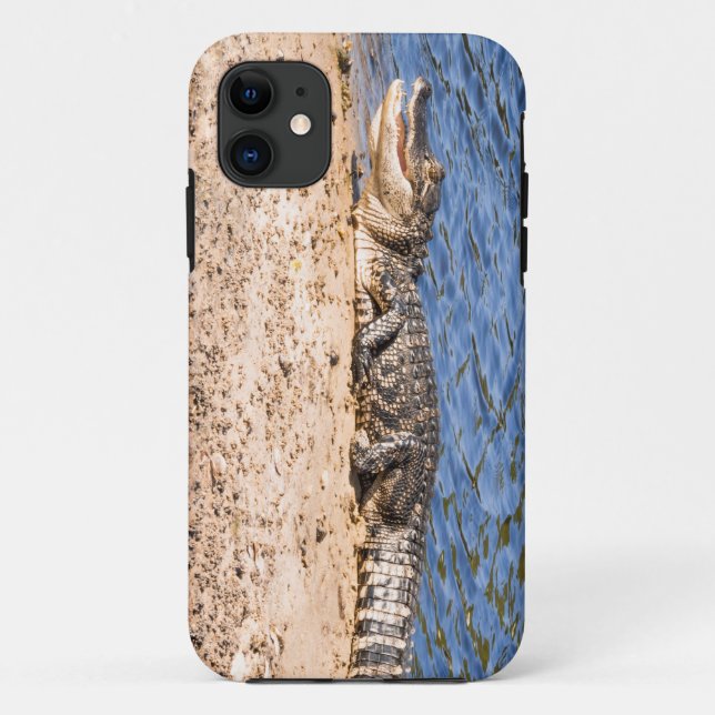 Alligator baby sunning Case-Mate iPhone case (Back)