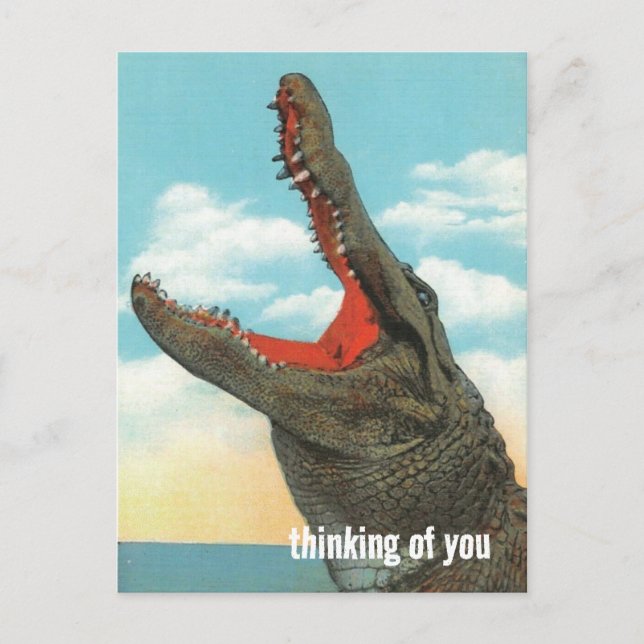 Alligator Chomp Postcard (Front)