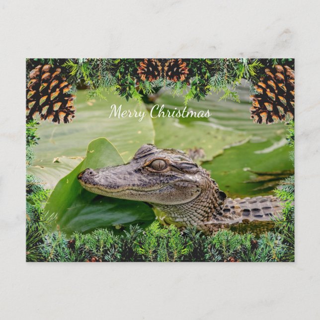 Alligator Christmas Card (Front)