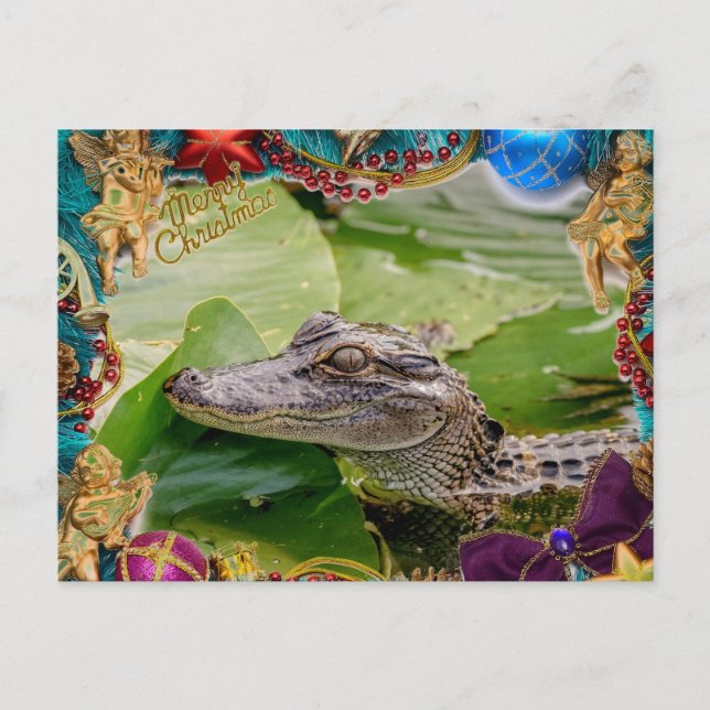 Alligator Christmas Card (Front)