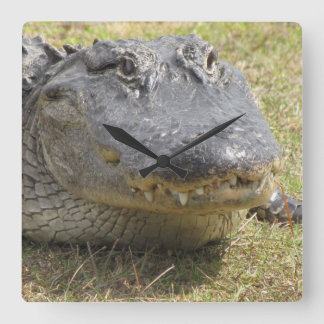 Alligator Clock
