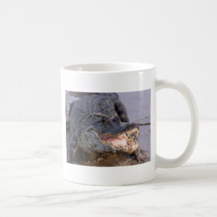 Alligator Coffee Mug