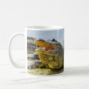 Alligator. Face to face. Coffee Mug