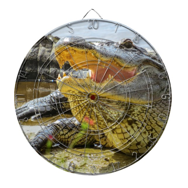 Alligator. Face to face Dartboard (Front)