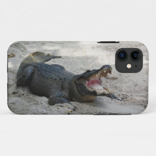 Alligator, Fort Lauderdale, Florida iPhone 11 Case