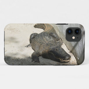 Alligator, Fort Lauderdale, Florida iPhone 11 Case