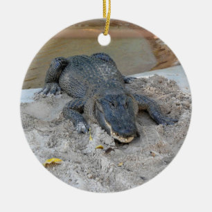 Alligator, Fort Lauderdale, Florida Ceramic Ornament