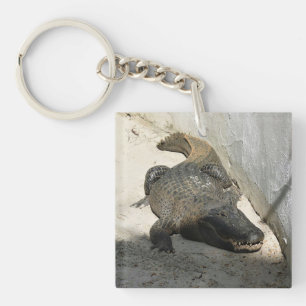 Alligator, Fort Lauderdale, Florida Key Ring