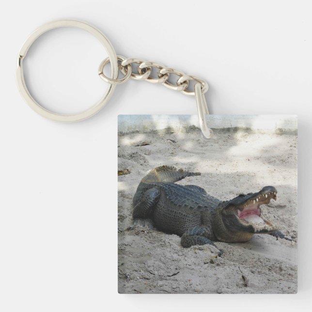 Alligator, Fort Lauderdale, Florida Key Ring (Front)