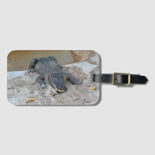Alligator, Fort Lauderdale, Florida Luggage Tag