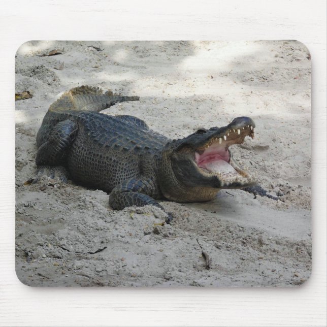 Alligator, Fort Lauderdale, Florida Mouse Pad (Front)