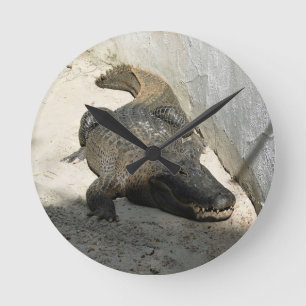 Alligator, Fort Lauderdale, Florida Round Clock