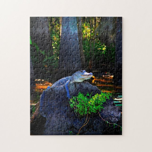Alligator Gator Louisiana. Jigsaw Puzzle (Vertical)