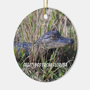 Alligator Greetings From Florida Ceramic Ornament