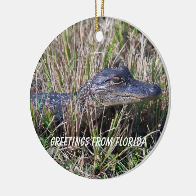  Alligator Greetings From Florida Ceramic Ornament (Left)