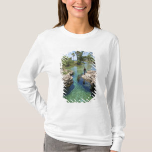 Alligator Hole, Black River Town, Jamaica T-Shirt