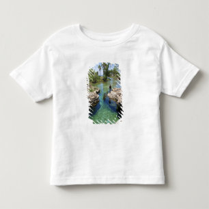 Alligator Hole, Black River Town, Jamaica Toddler T-Shirt