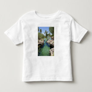 Alligator Hole, Black River Town, Jamaica Toddler T-Shirt
