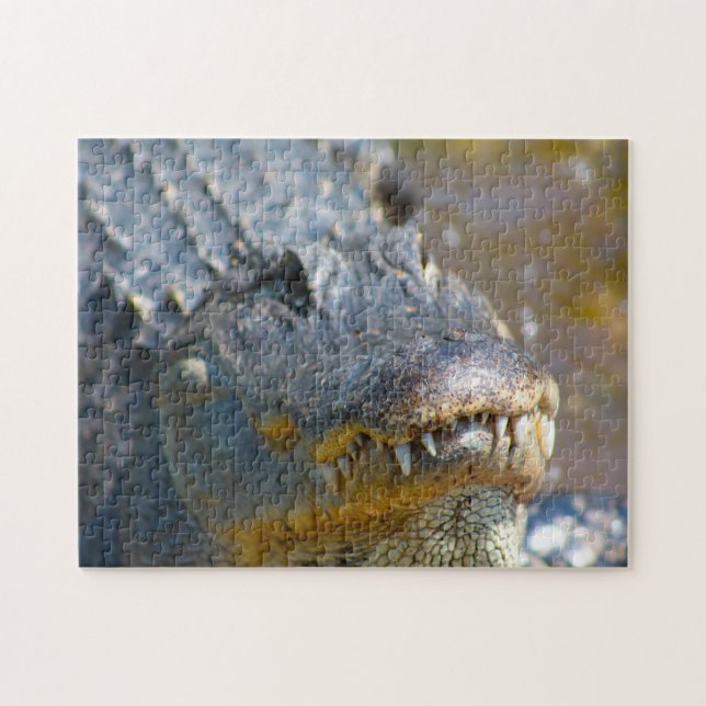 Alligator in Mississippi. Jigsaw Puzzle (Horizontal)