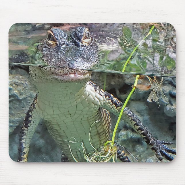 Alligator In Pond Mouse Pad (Front)