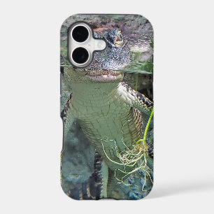 alligator in water