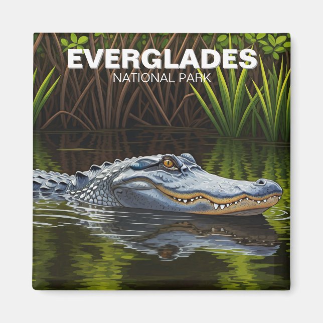 Alligator in Water Everglades National Park  Magnet (Front)