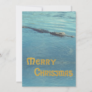 Alligator in water photo Christmas greeting Holiday Card