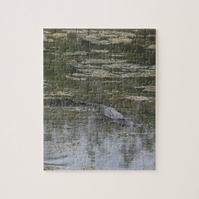 Alligator Jigsaw Puzzle (Vertical)