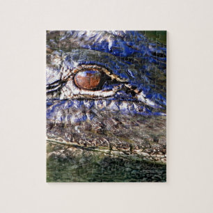 Alligator Jigsaw Puzzle