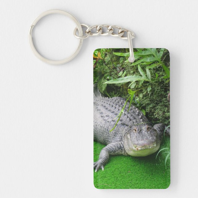 Alligator Key Ring (Front)
