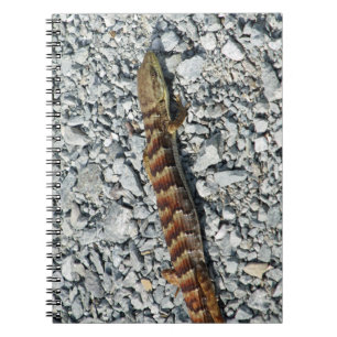 Alligator Lizard Notebook