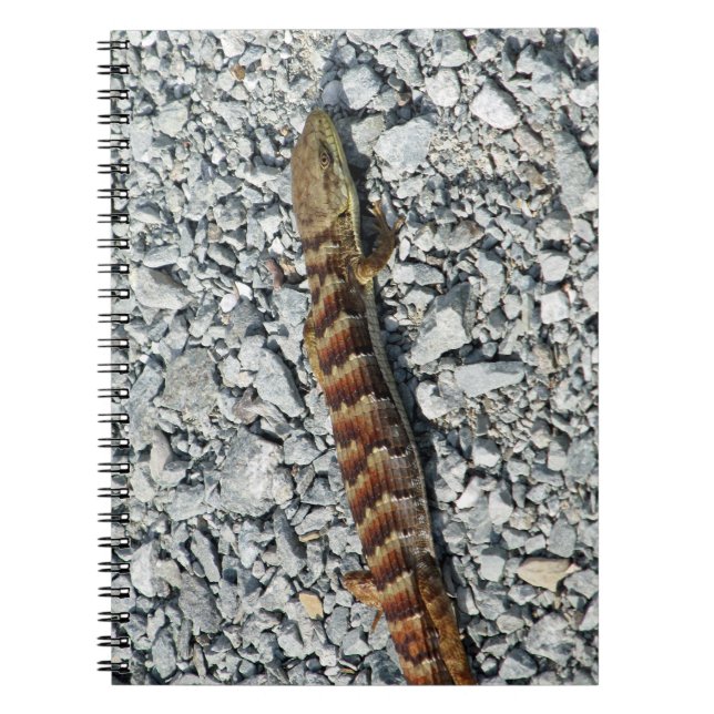 Alligator Lizard Notebook (Front)