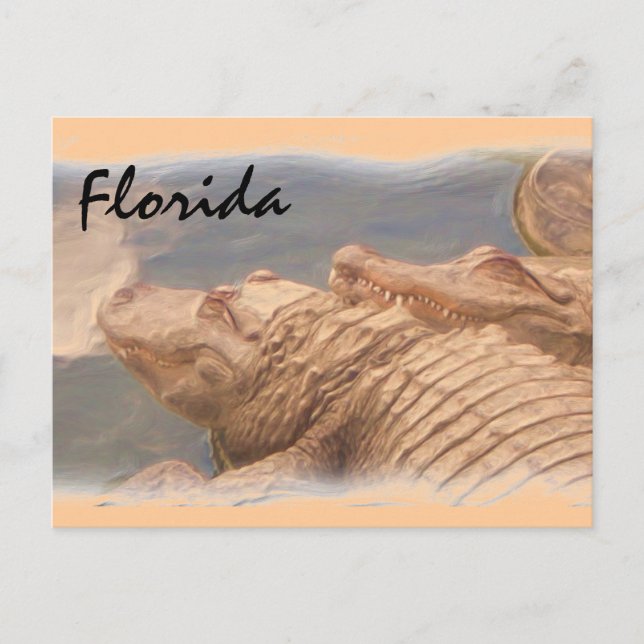 Alligator love Florida postcard (Front)