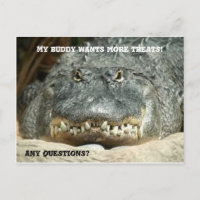 Alligator More Treats Postcard