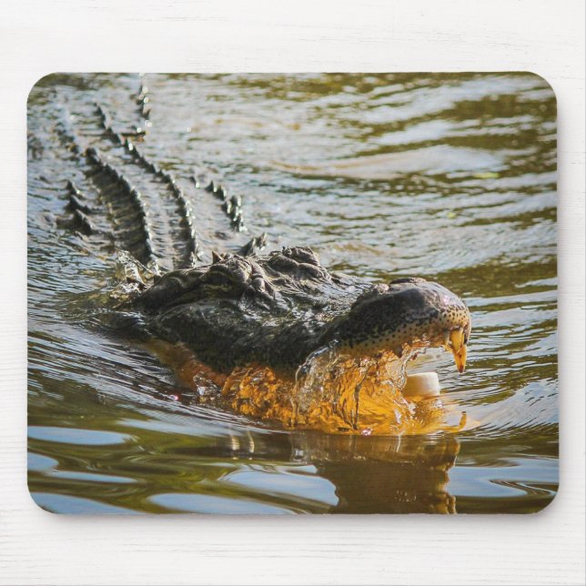 Alligator mouse pad (Front)